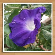 20170627_153832