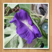 20170627_153801