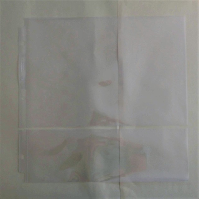 DSCF2447