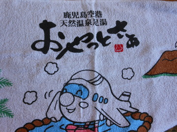 DSCN5931