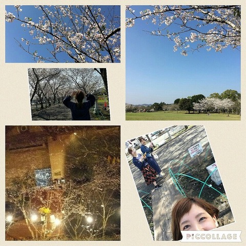 s-s-桜3