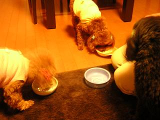 DSCN3079
