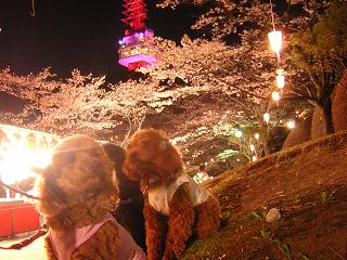 DSCN3064