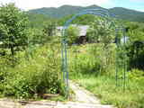 DSCN3360