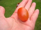 DSCN3272