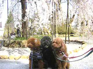 DSCN3007