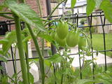 DSCN3276