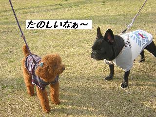 DSCN3017