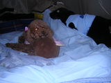 DSCN3167