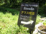 DSCN3361