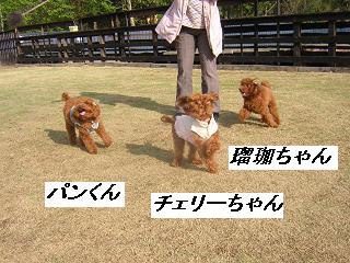 DSCN3103