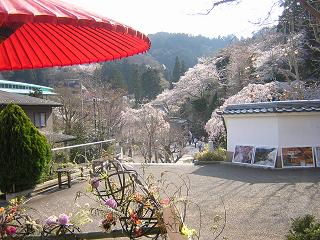 DSCN3010