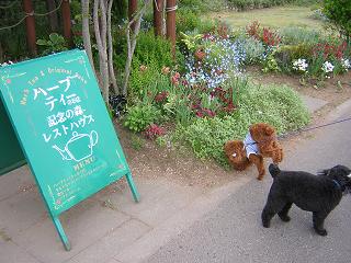 DSCN3215