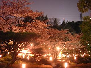 DSCN3068