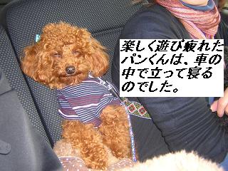 DSCN3021