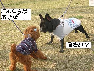 DSCN3015