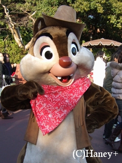 62548193.jpg
