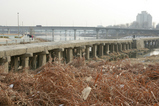 260d0600.jpg