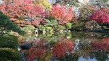 rps20181205_125126