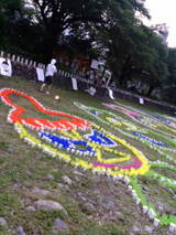 5b040594.jpg