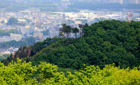 龍崖山