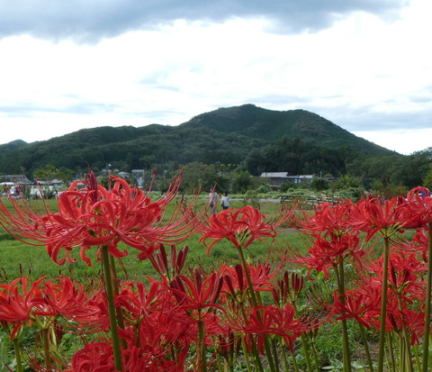 日和田山