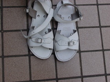9649f1d5.jpg