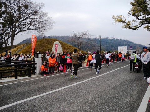 DSCN6353