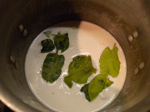 DSCN5652