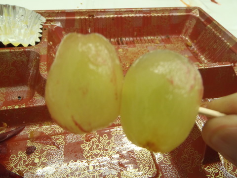 P6080033