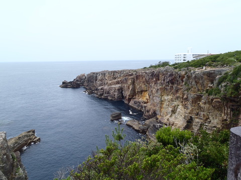 P6050026