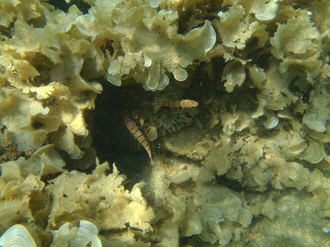 P8020121