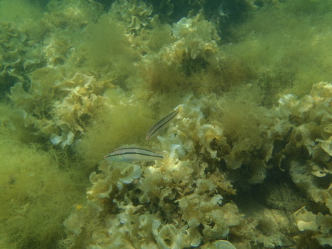P8020117