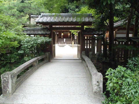 P8290093