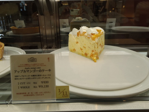P6040009