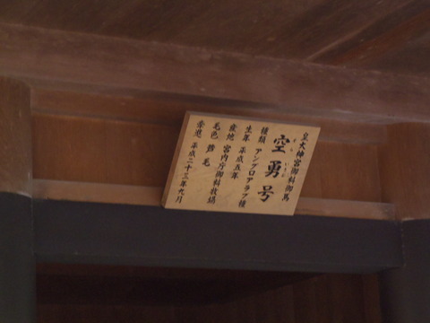 P1020046