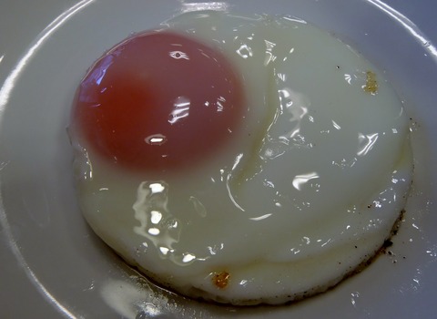 P9230009