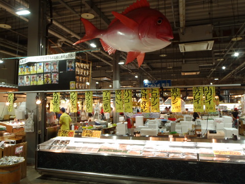P6050015