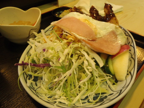 P6150019