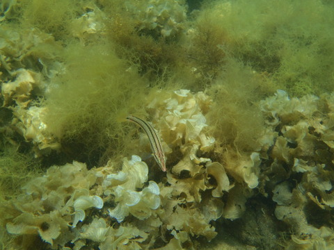 P8020118