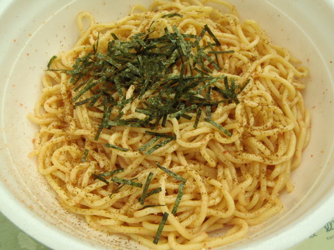 P9300009