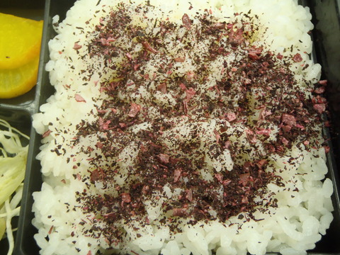 PA290030
