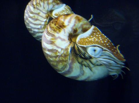 P8140037