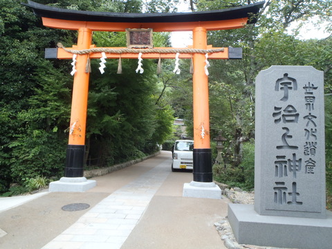 P8290091