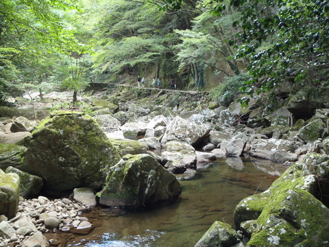P8250063