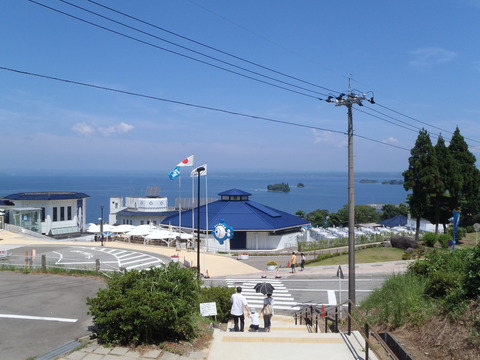 P8010025