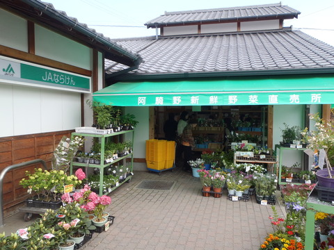 P5040017