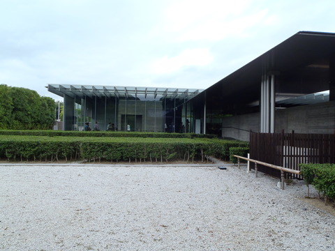 P8290053