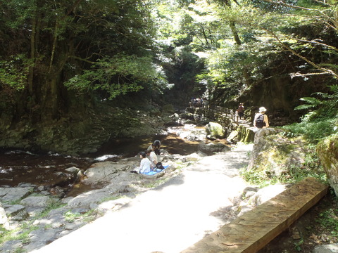 P8250048