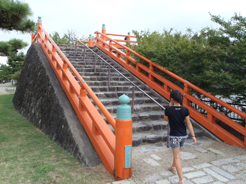 P8290089